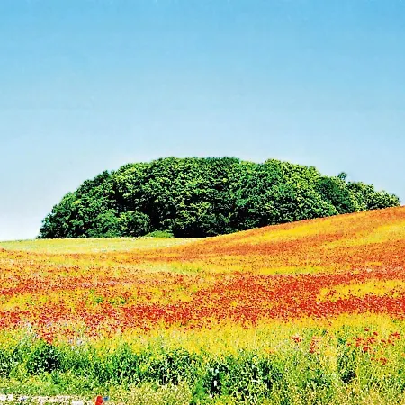 Poseidon Mit Balkon, Strandnah Und Zentral شقة *