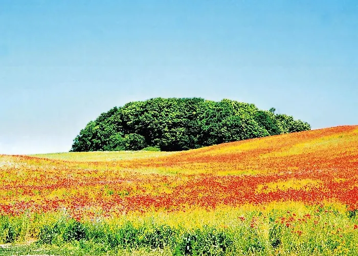 Poseidon Mit Balkon, Strandnah Und Zentral 公寓 *